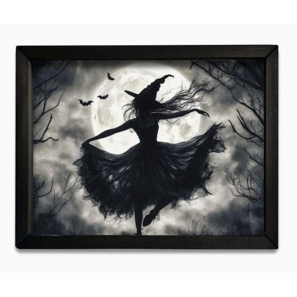 Moon Witch Box Frame Halloween Picture 12x16 Wall Decor Full Moon Gothic NEW